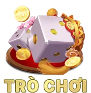 Bước 4: Đồng ý Điều khoản và Điều kiện